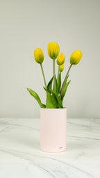 Tulip Ever After Yellow No.7