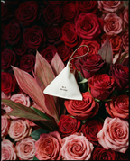 Aura No.04 Rosy Cheek Sachet
