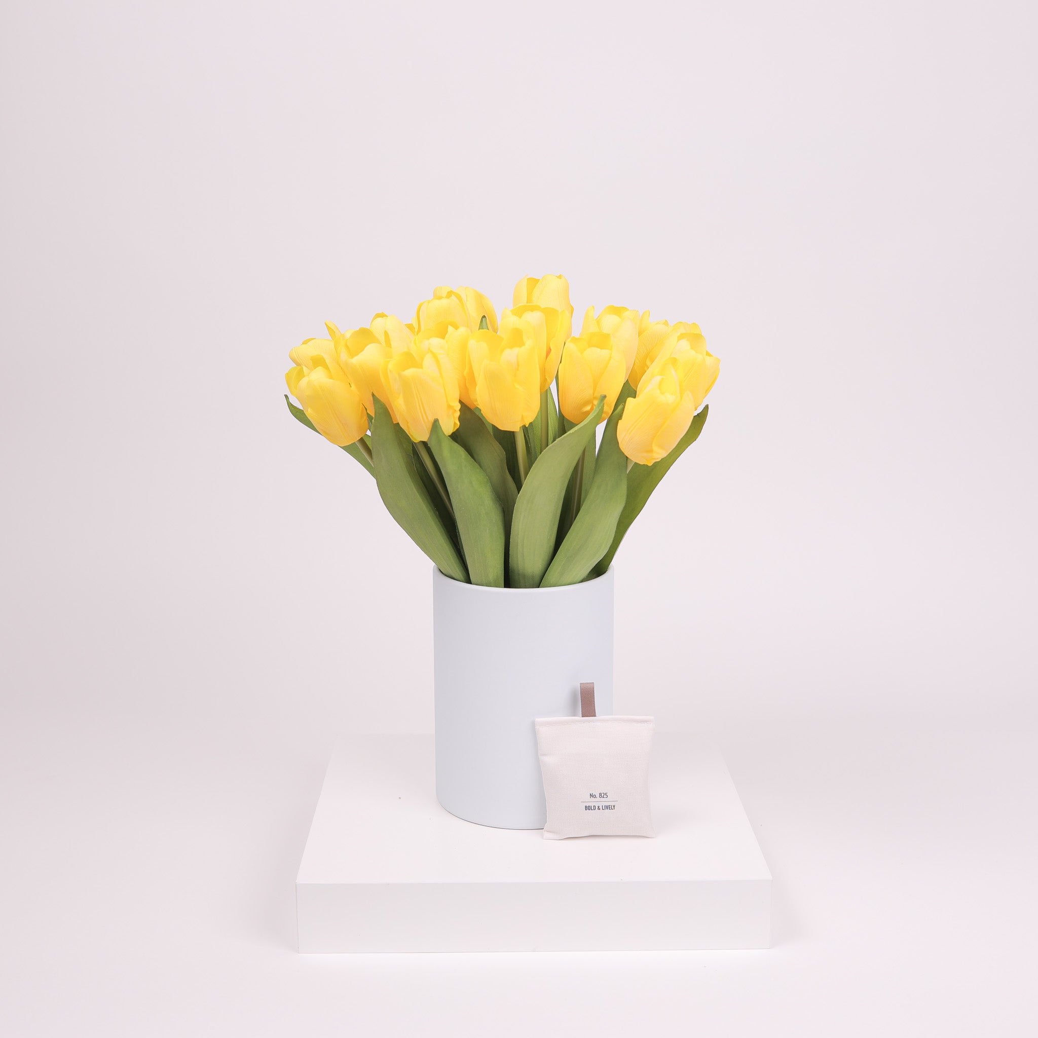 Tulip Ever After Blue Jay Edition No. 825 Yellow