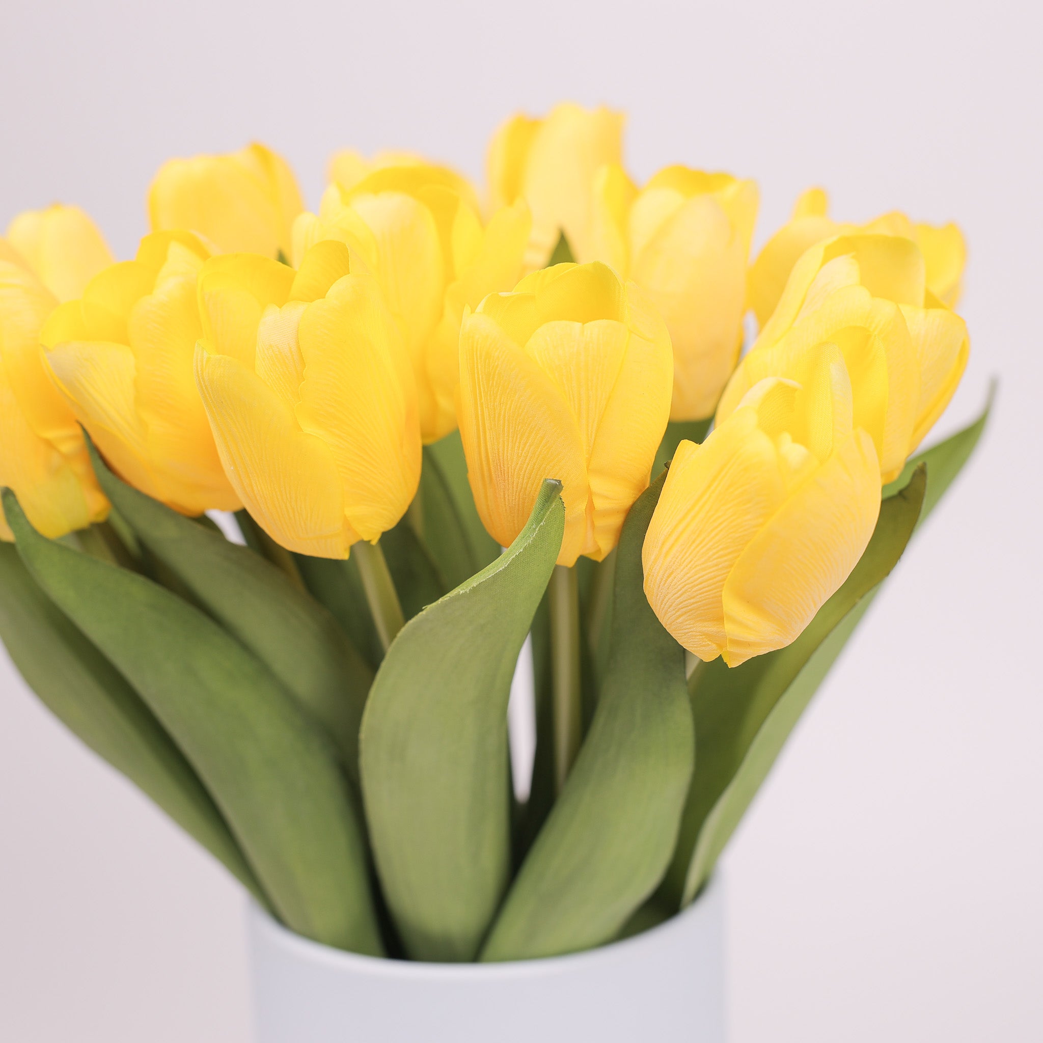 Tulip Ever After Blue Jay Edition No. 825 Yellow