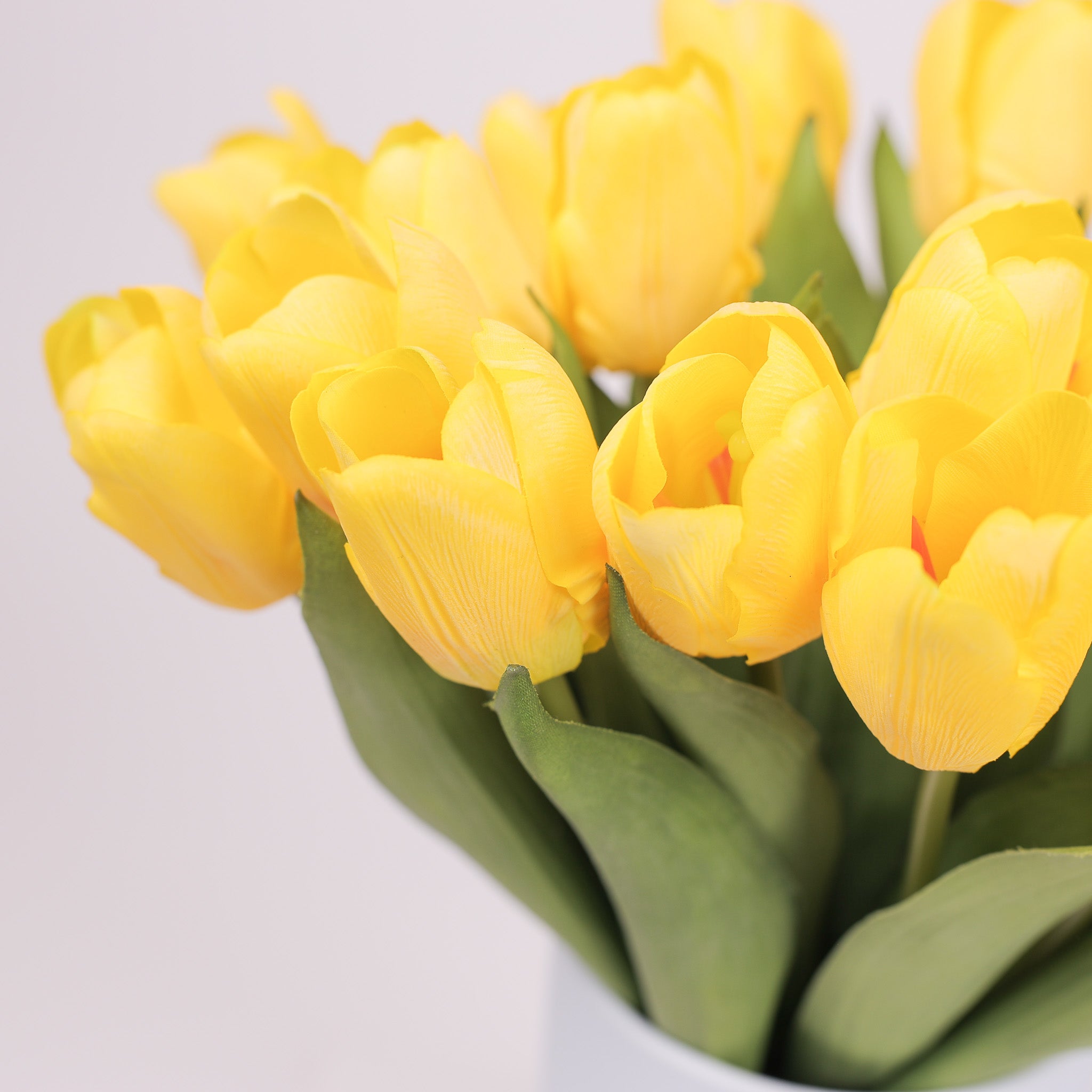 Tulip Ever After Blue Jay Edition No. 825 Yellow
