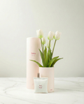 Tulip Ever After White No.2