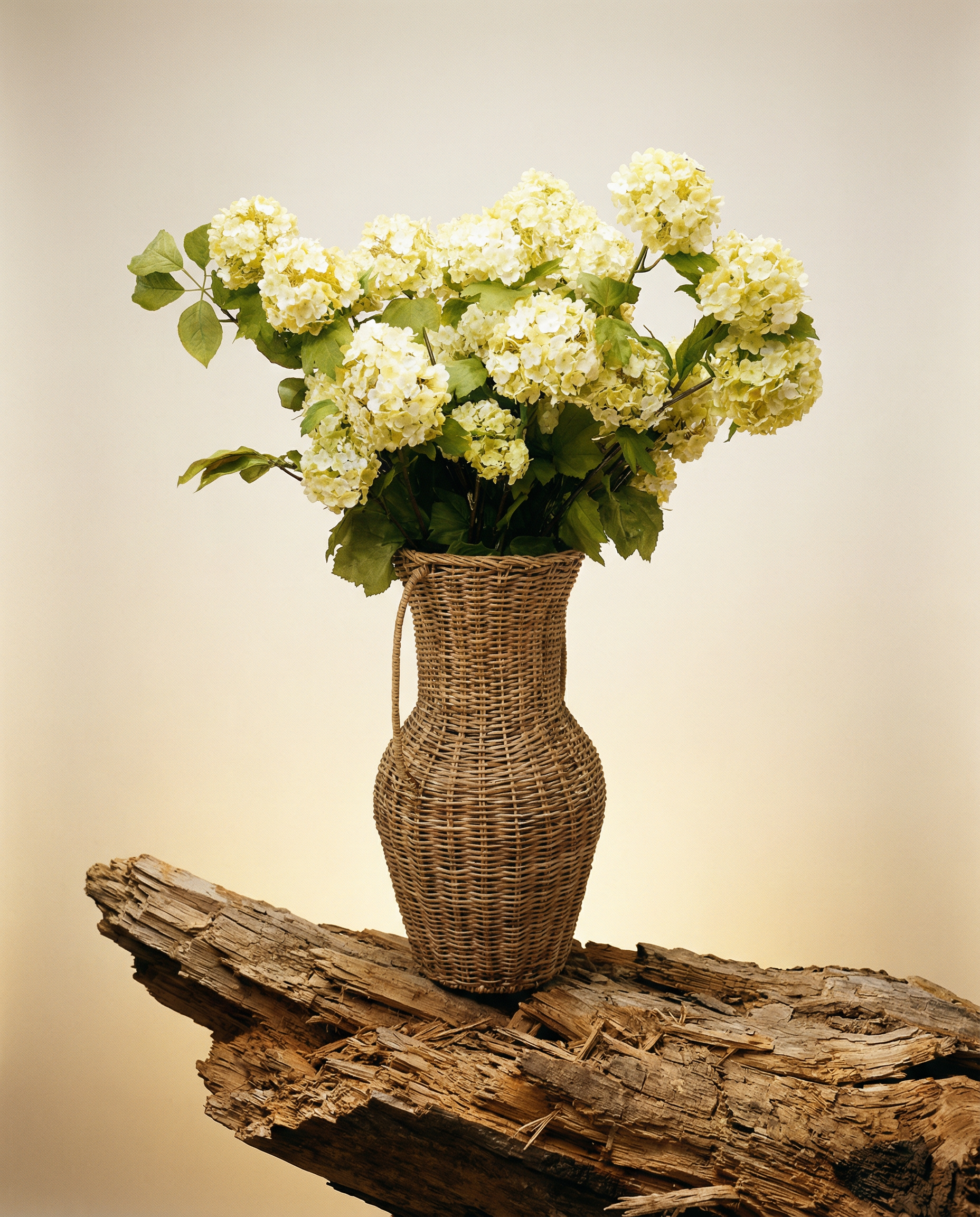 The Hydrangea Woven Vase Set (Scented) NO.4501