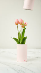 Tulip Ever After, Fragrant artificial flower with Sachet