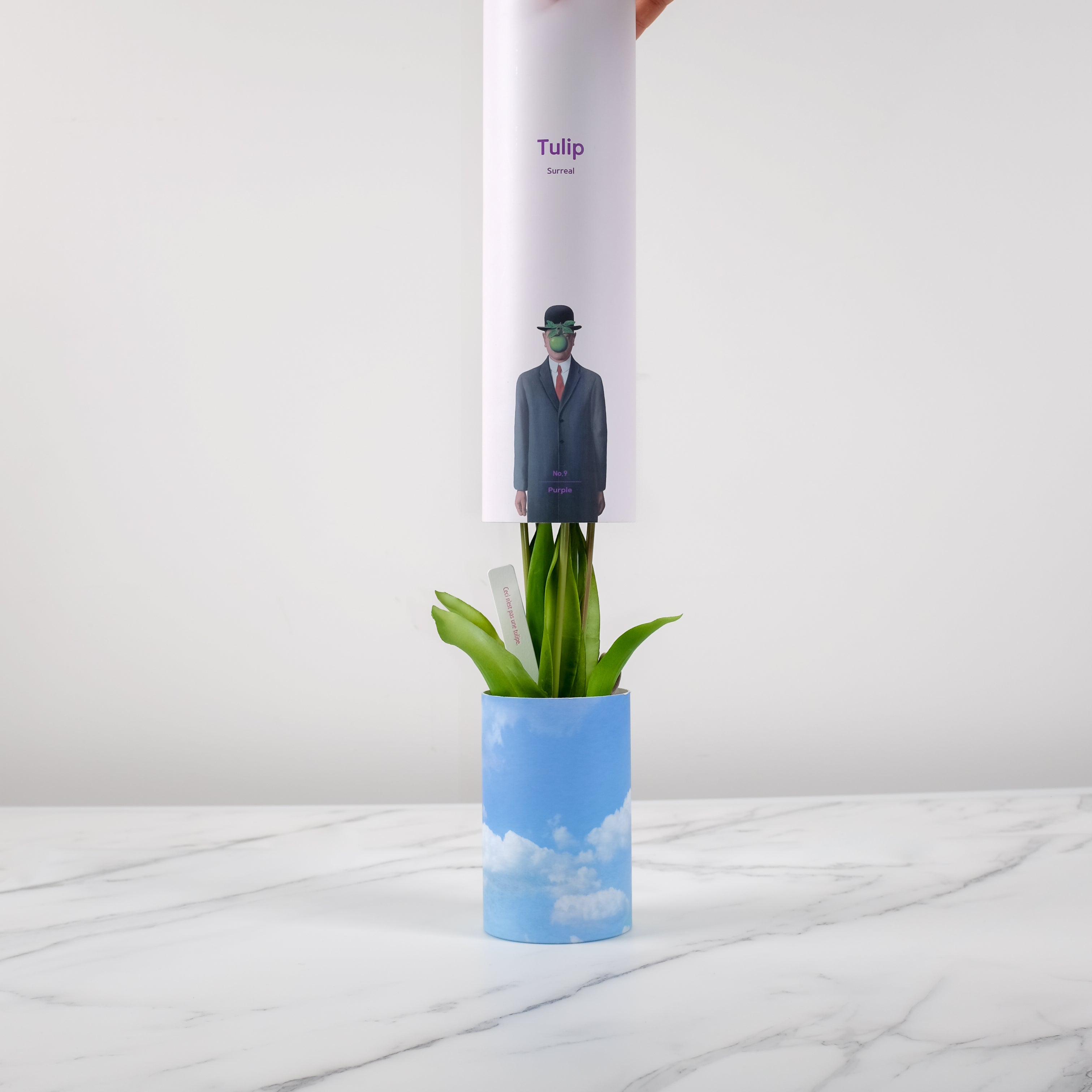 Tulip Surreal Magritte Edition No.9