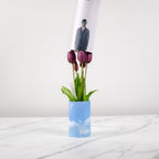 Tulip Surreal Magritte Edition No.9