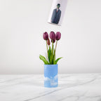 Tulip Surreal Magritte Edition No.9