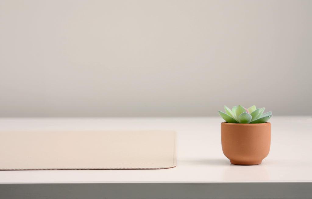 DeskPaw Premium Beige/Brown Desk Pad Dual-Sided Leather Blotter